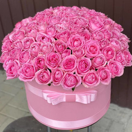101 peony roses in a box
