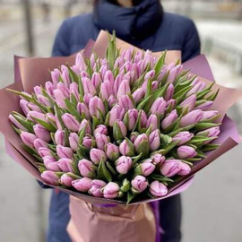 75 pink tulips in designer packaging