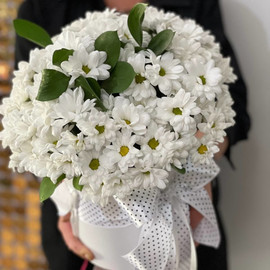 Bouquet of daisies for your girlfriend