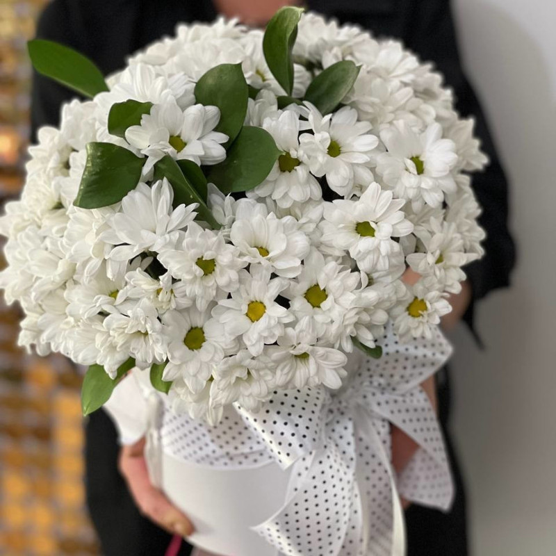 Bouquet of daisies for your girlfriend, standart