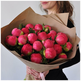 Bouquet of 25 coral peonies