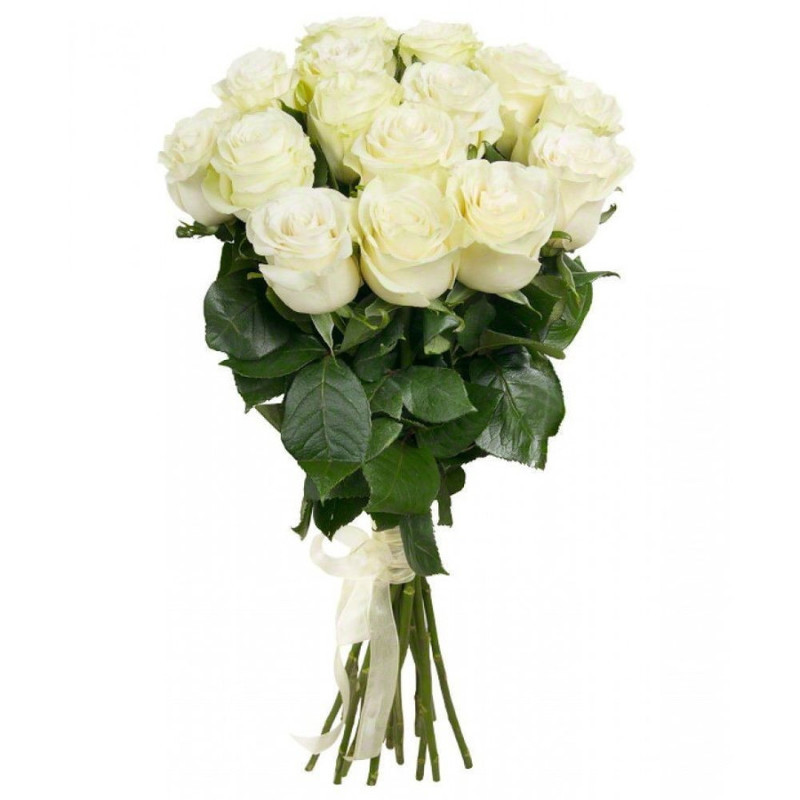 11 White Roses 50cm., standart