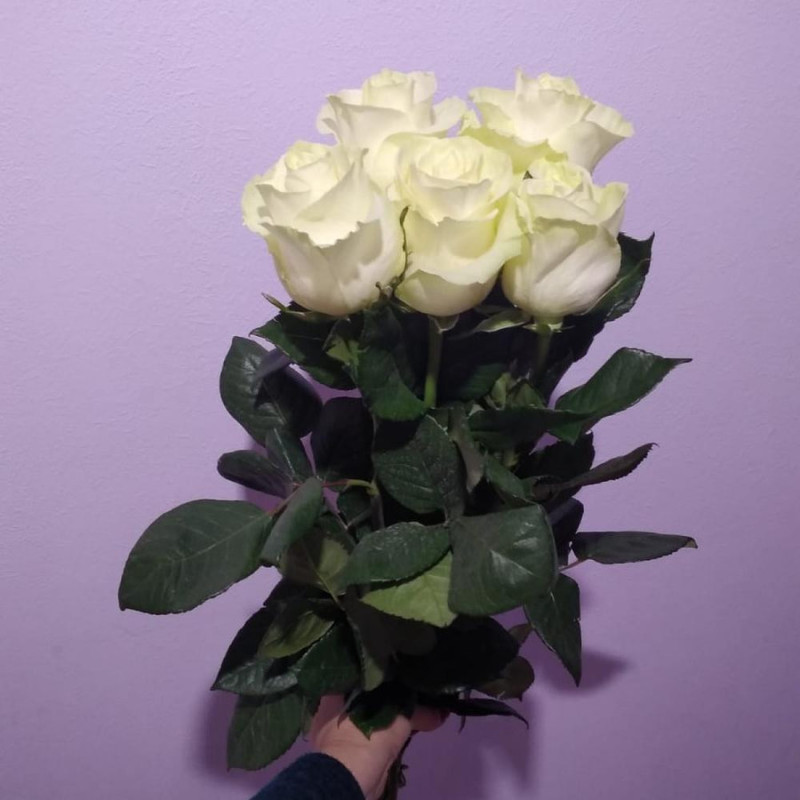 5 Белых роз Эквадор, стандартный