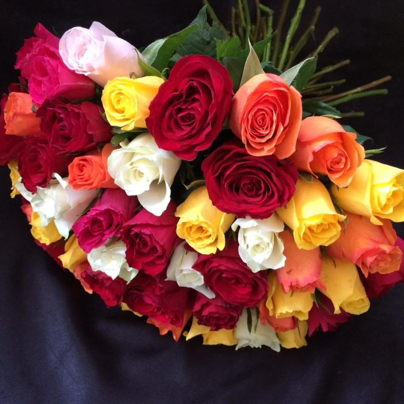 51 multi-colored roses, standart