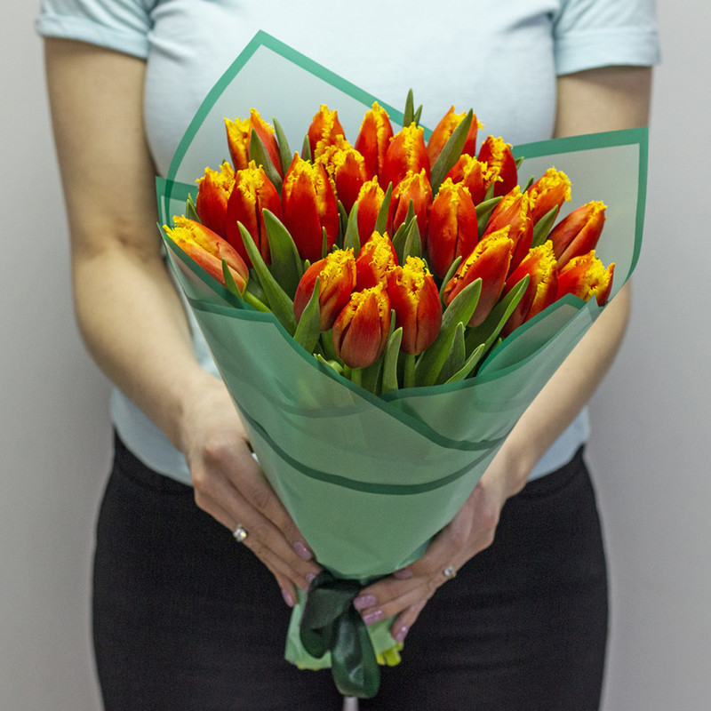 Red and yellow tulips, standart