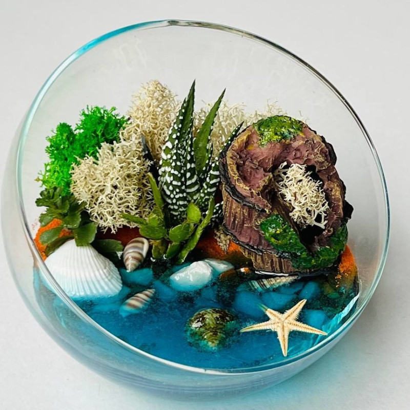 Florarium with sea and shells, standart