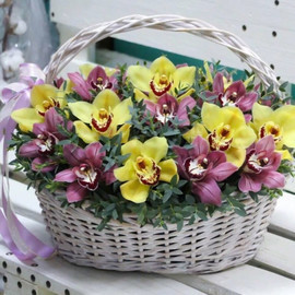 21 orchids in a basket