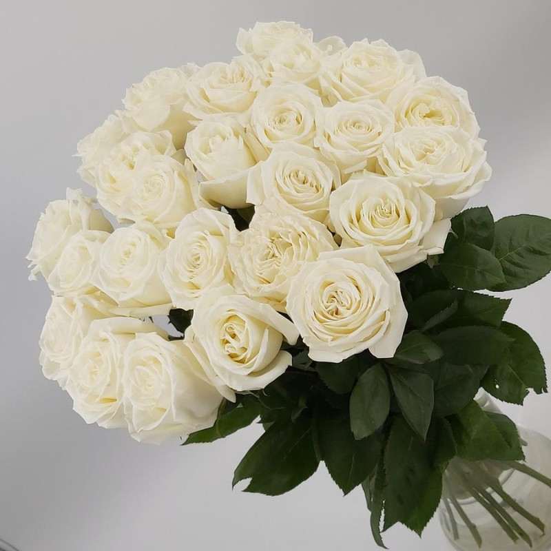 25 white roses Premium, standart