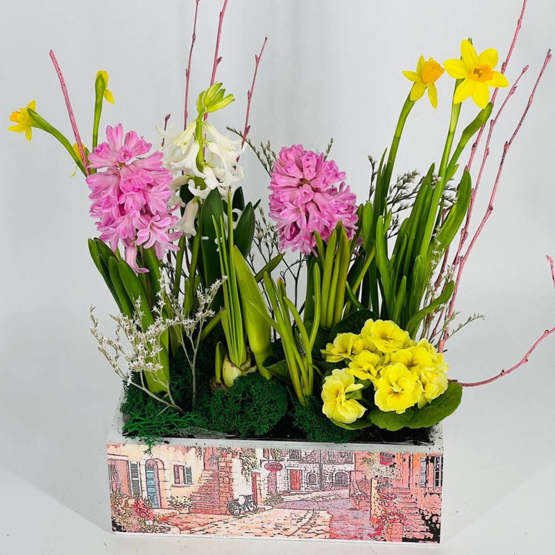 Bouquet of spring primroses in a wooden flowerpot, standart