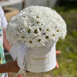 White chrysanthemums in a box