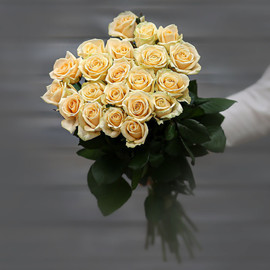 Bouquet of cream roses (Russia) with 60 cm ribbon