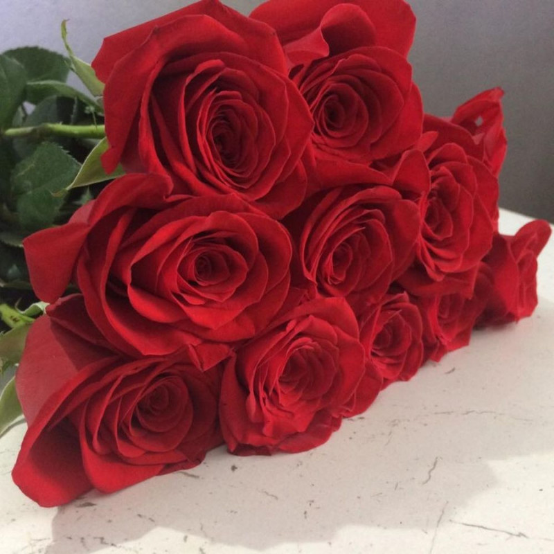 11 red roses 50 cm, standart