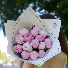 15 large Dutch peonies with packaging