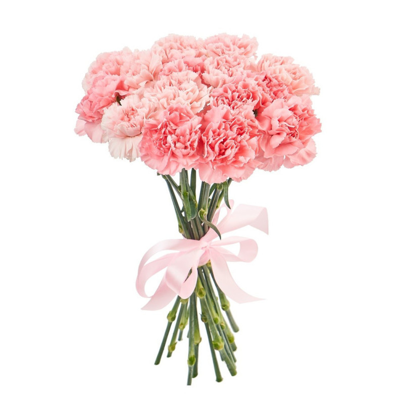Bouquet of 11 pink carnations, standart