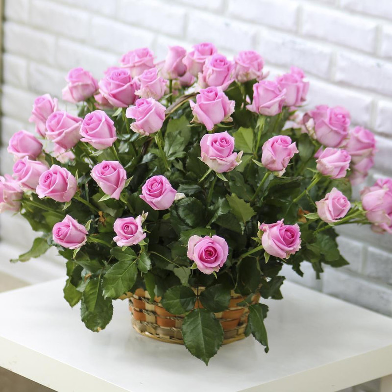 51 pink roses in a basket, standart