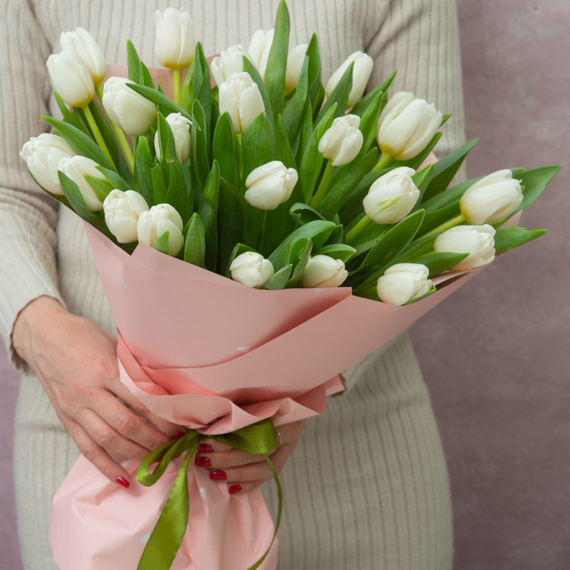 White tulips (25), standart