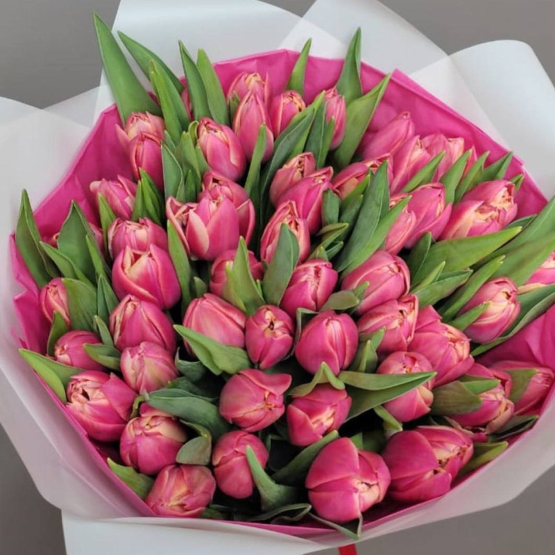 Bouquet of 49 tulips, standart