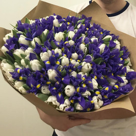 Bouquet of irises and tulips "White Blue"