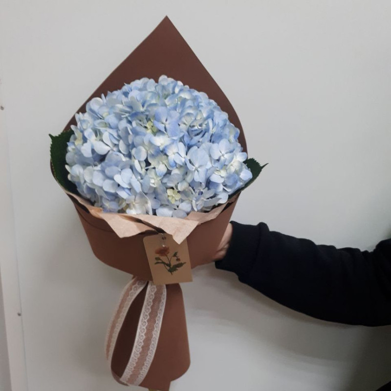 Bouquet"Hydrangea", standart