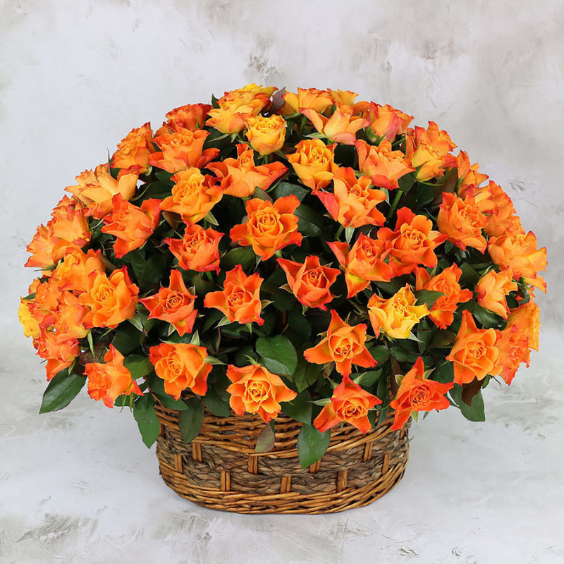 101 orange rose 40 cm in a basket, standart
