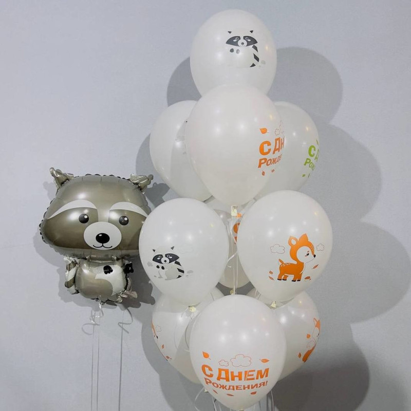 Composition of balloons with a raccoon, standart