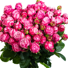 15 пионовидных кустовых роз