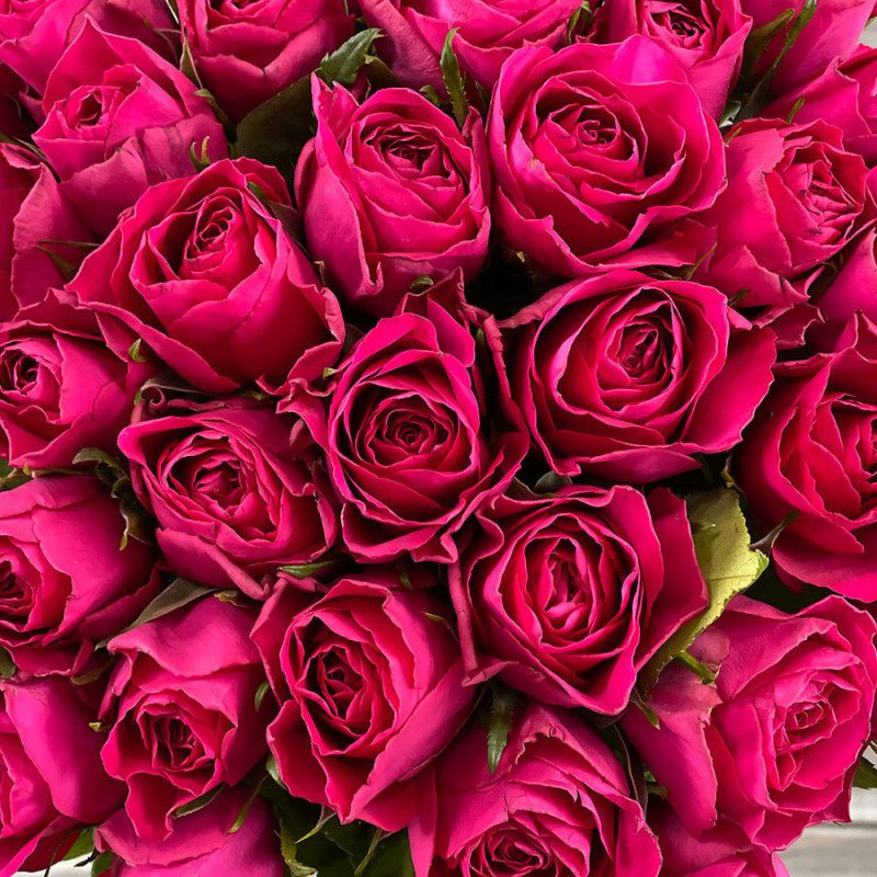 Bouquet of 25 crimson roses with 40 cm ribbon, premium
