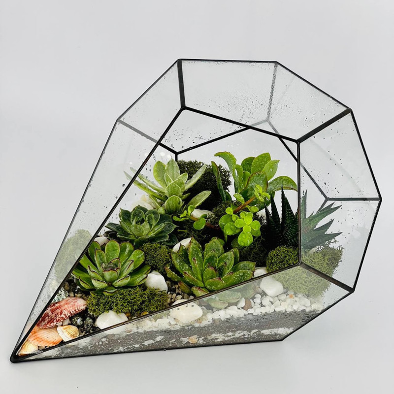 Florarium drop with succulents, standart