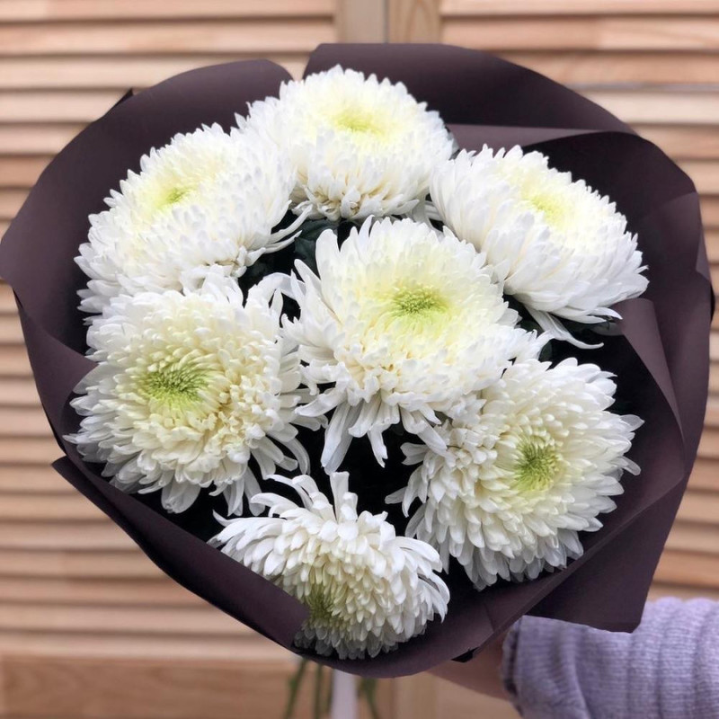 Bouquet of 7 single-headed chrysanthemums, standart