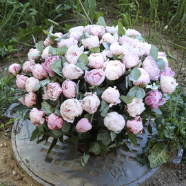 Bouquet "51 peony Sarah Bernhardt with eucalyptus in a basket"