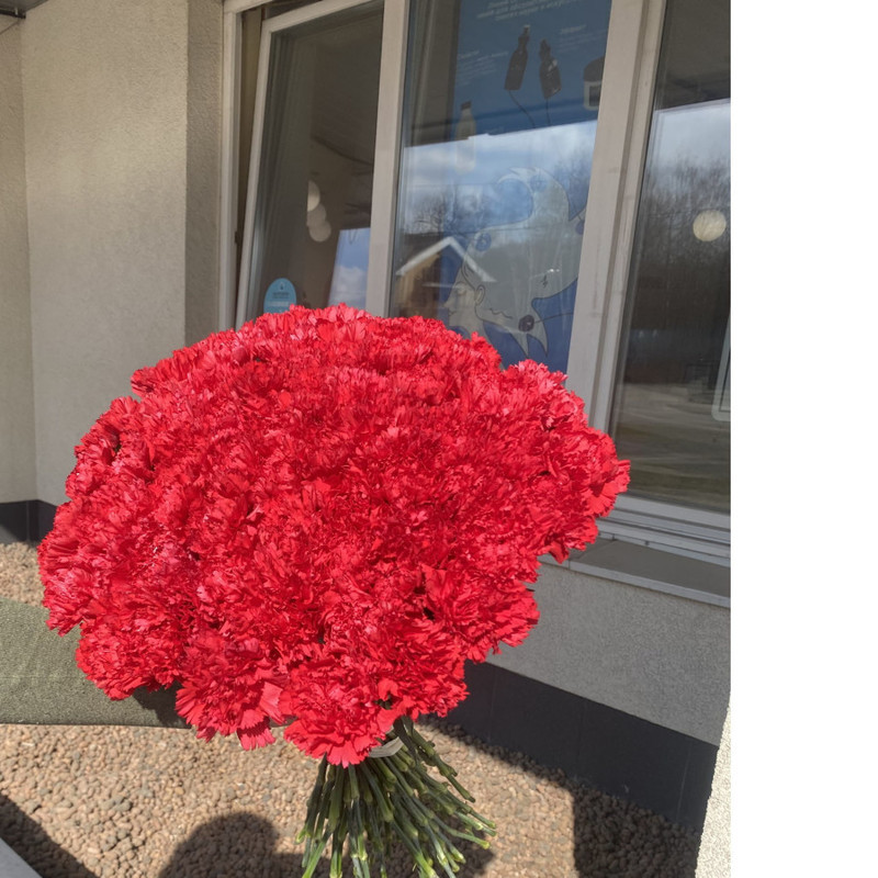 76 red carnations, standart