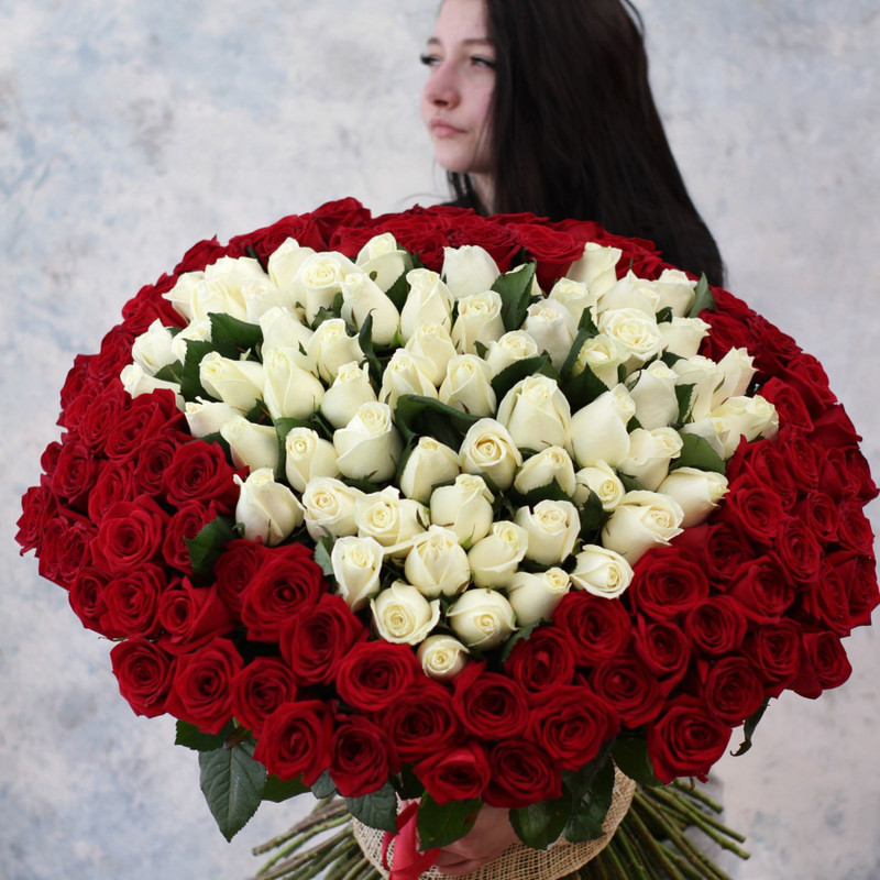 Heart of 151 roses, standart