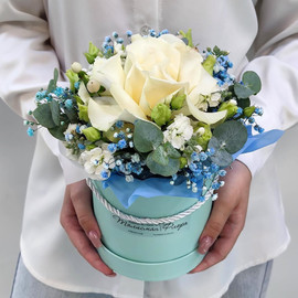 News gentle blue box with a white rose