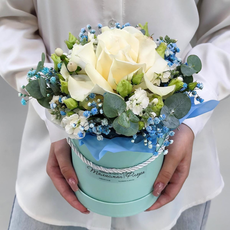 News gentle blue box with a white rose, standart