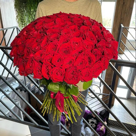 155 Red Roses