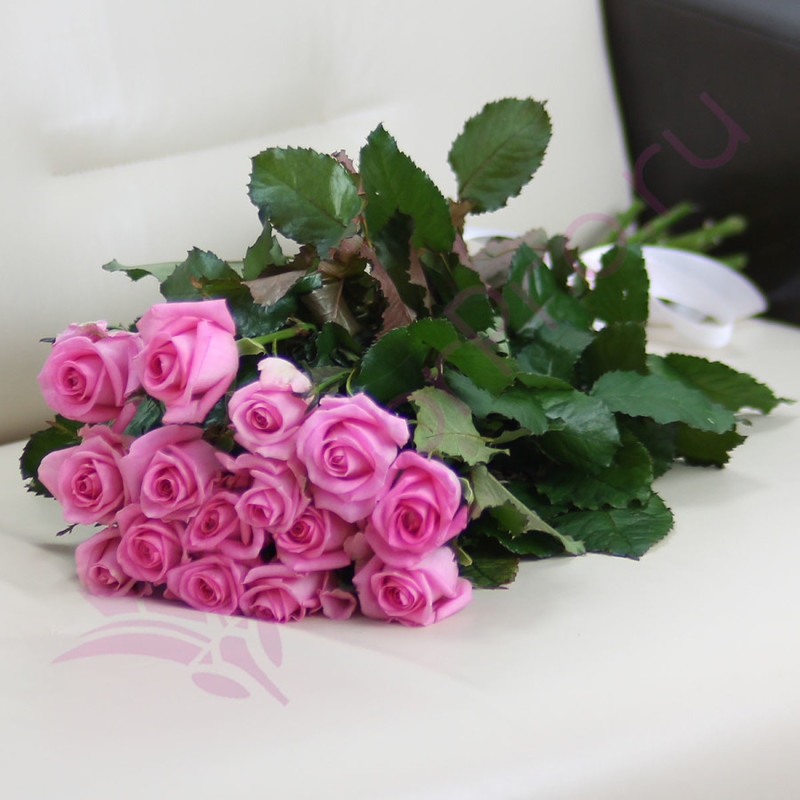 15 розовых роз Ревиваль 60 см, стандартный