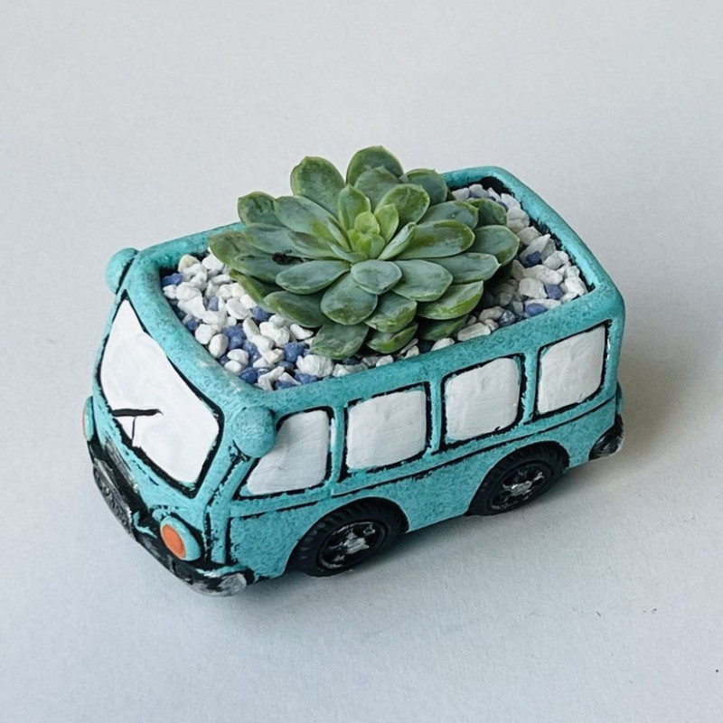 Stone rose in a planter bus, standart
