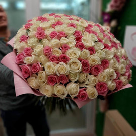 201 white-pink rose