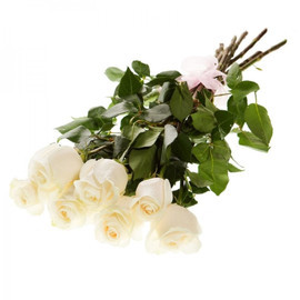 Bouquet of 7 roses Penelope 50 cm
