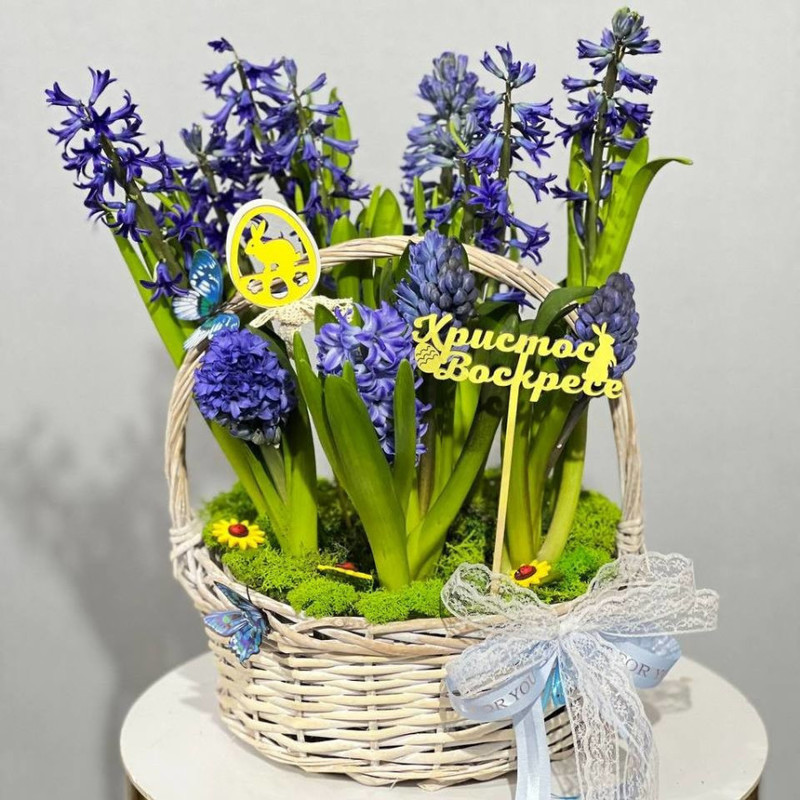 Easter basket with hyacinths, standart