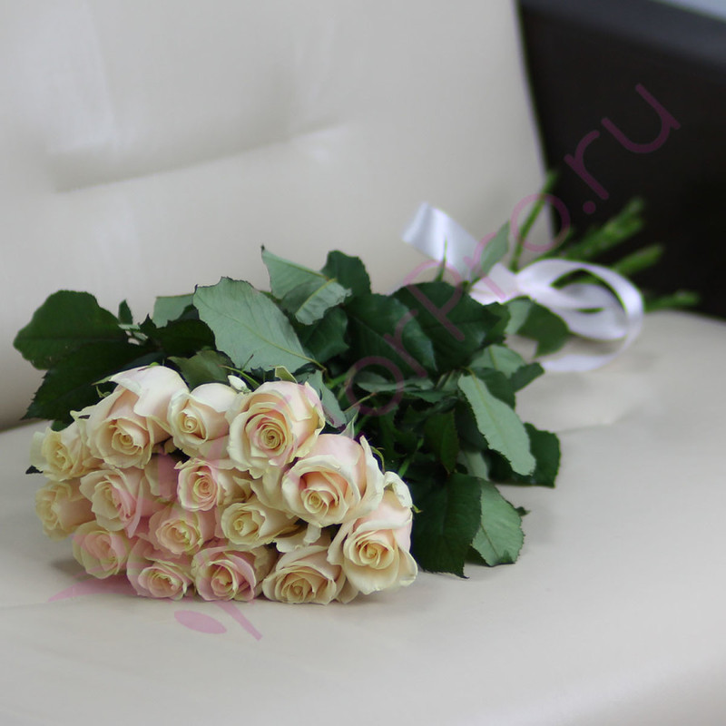 15 кремовых роз Талея 60 см, стандартный