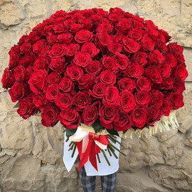 101 red rose