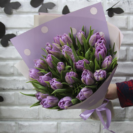 25 lilac peony tulips Double Price