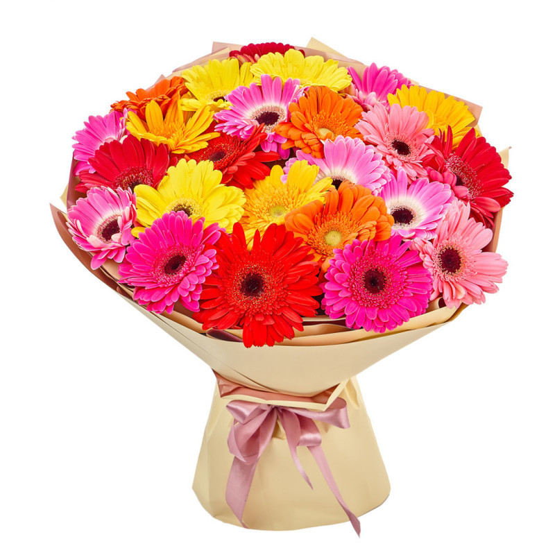 Bouquet of 25 bright gerberas in a package, standart