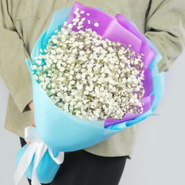 Bouquet of 11 white gypsophila in a package