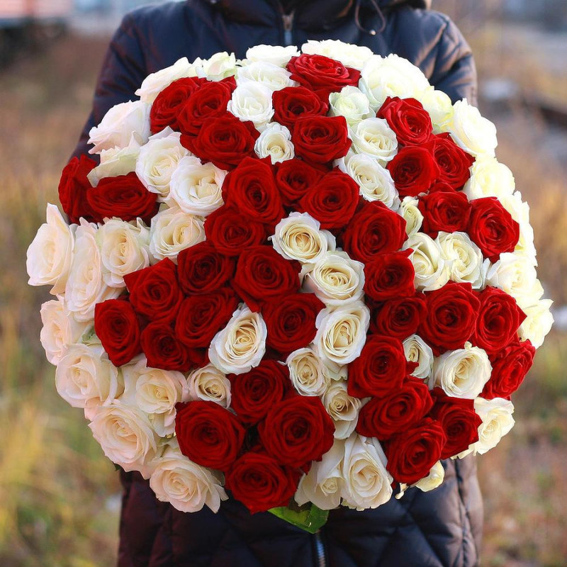 Bouquet of red and white roses, standart