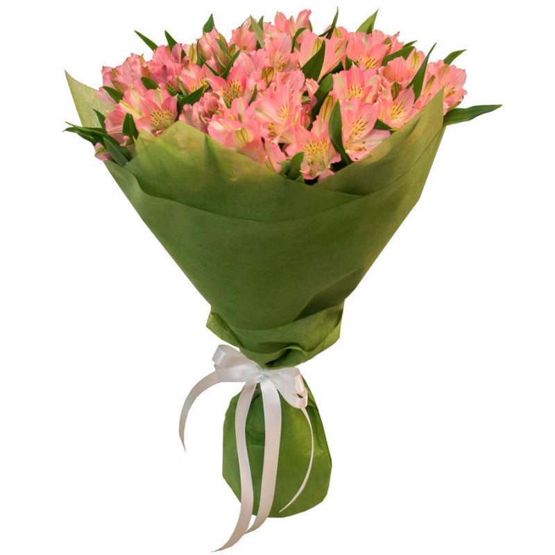 Bouquet-compliment Alstroemeria, standart