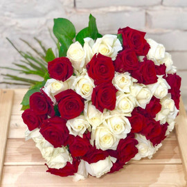 51 красно-белая роза 50 см Эквадор