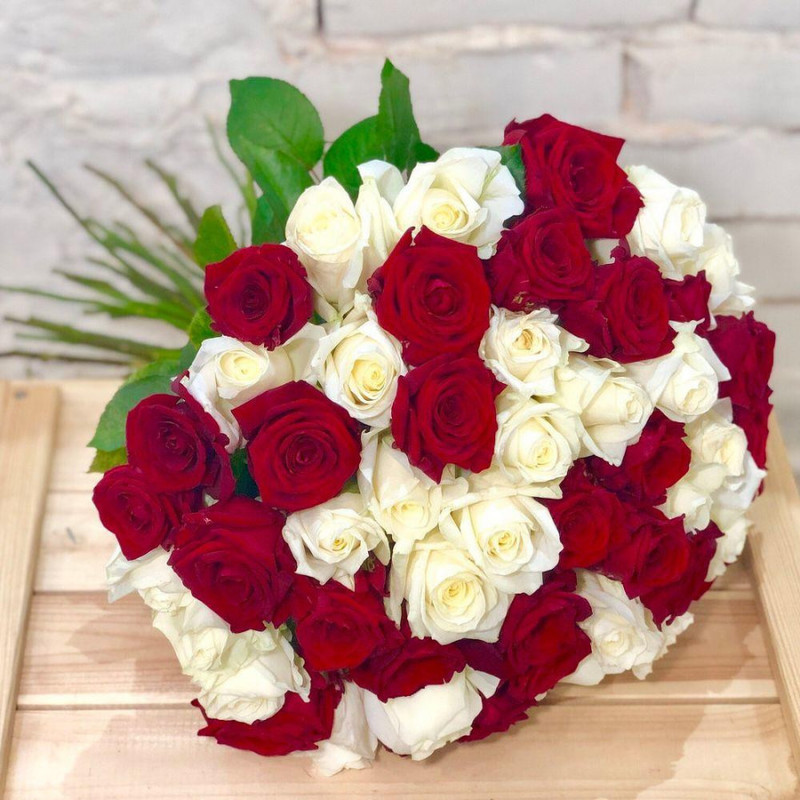51 red and white roses 50 cm Ecuador, standart