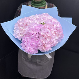 Bouquet of hydrangea "Gloria"
